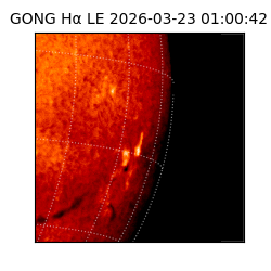 gong - 2026-03-23T01:00:42