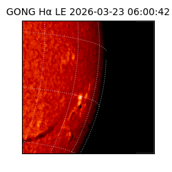 gong - 2026-03-23T06:00:42