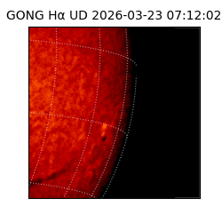 gong - 2026-03-23T07:12:02