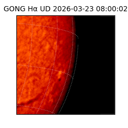gong - 2026-03-23T08:00:02