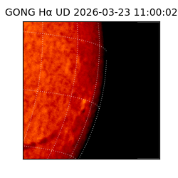 gong - 2026-03-23T11:00:02