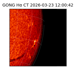 gong - 2026-03-23T12:00:42