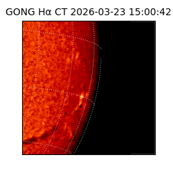 gong - 2026-03-23T15:00:42