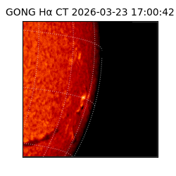 gong - 2026-03-23T17:00:42