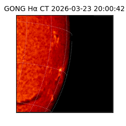 gong - 2026-03-23T20:00:42