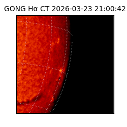 gong - 2026-03-23T21:00:42