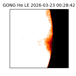 gong - 2026-03-23T00:28:42