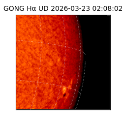 gong - 2026-03-23T02:08:02