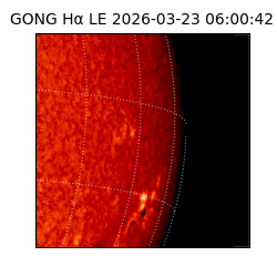 gong - 2026-03-23T06:00:42