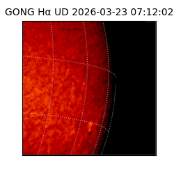 gong - 2026-03-23T07:12:02