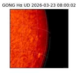 gong - 2026-03-23T08:00:02