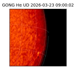 gong - 2026-03-23T09:00:02
