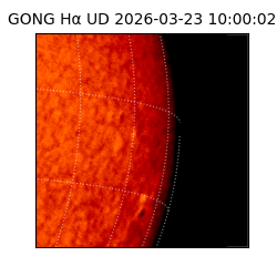 gong - 2026-03-23T10:00:02