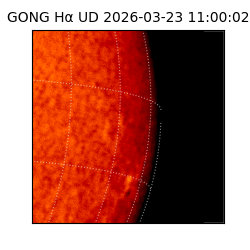 gong - 2026-03-23T11:00:02