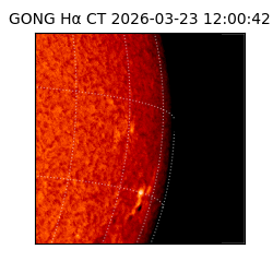 gong - 2026-03-23T12:00:42