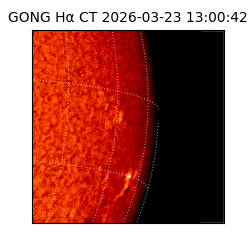 gong - 2026-03-23T13:00:42
