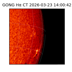 gong - 2026-03-23T14:00:42