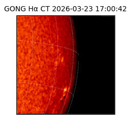 gong - 2026-03-23T17:00:42