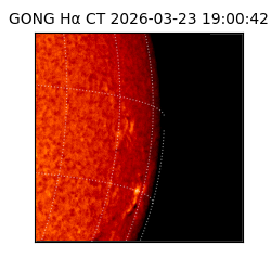 gong - 2026-03-23T19:00:42