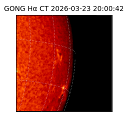 gong - 2026-03-23T20:00:42