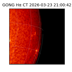 gong - 2026-03-23T21:00:42