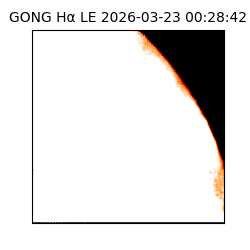 gong - 2026-03-23T00:28:42