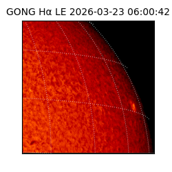 gong - 2026-03-23T06:00:42
