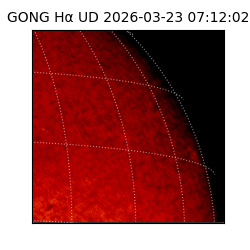gong - 2026-03-23T07:12:02