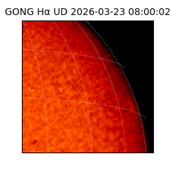 gong - 2026-03-23T08:00:02