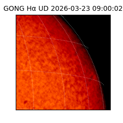 gong - 2026-03-23T09:00:02