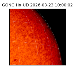 gong - 2026-03-23T10:00:02