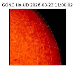 gong - 2026-03-23T11:00:02