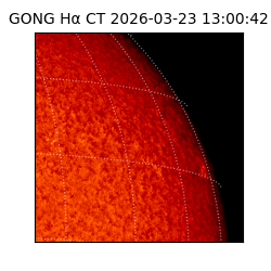 gong - 2026-03-23T13:00:42