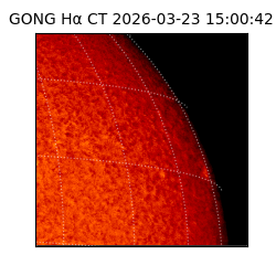 gong - 2026-03-23T15:00:42
