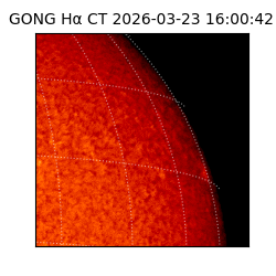 gong - 2026-03-23T16:00:42