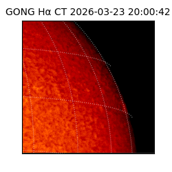 gong - 2026-03-23T20:00:42