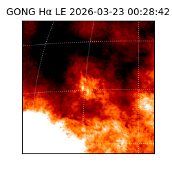 gong - 2026-03-23T00:28:42