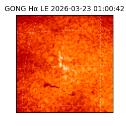 gong - 2026-03-23T01:00:42