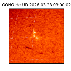 gong - 2026-03-23T03:00:02