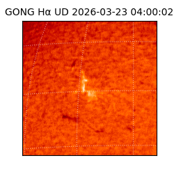 gong - 2026-03-23T04:00:02