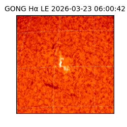 gong - 2026-03-23T06:00:42