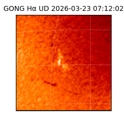 gong - 2026-03-23T07:12:02