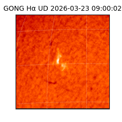 gong - 2026-03-23T09:00:02