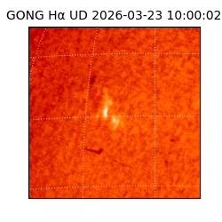 gong - 2026-03-23T10:00:02