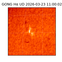 gong - 2026-03-23T11:00:02