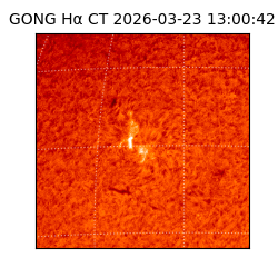 gong - 2026-03-23T13:00:42