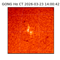 gong - 2026-03-23T14:00:42