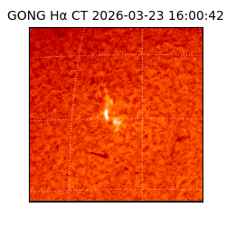 gong - 2026-03-23T16:00:42