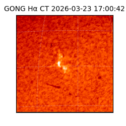 gong - 2026-03-23T17:00:42