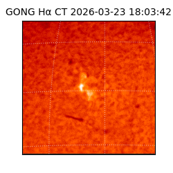 gong - 2026-03-23T18:03:42